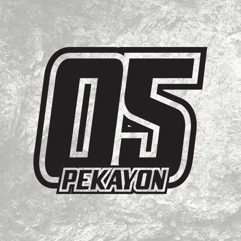 3x Custom MX Race Plate Number Type#15